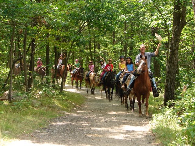 Echo Lake Stables